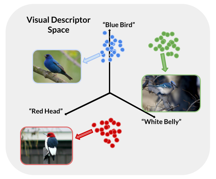 Semantic Projection
